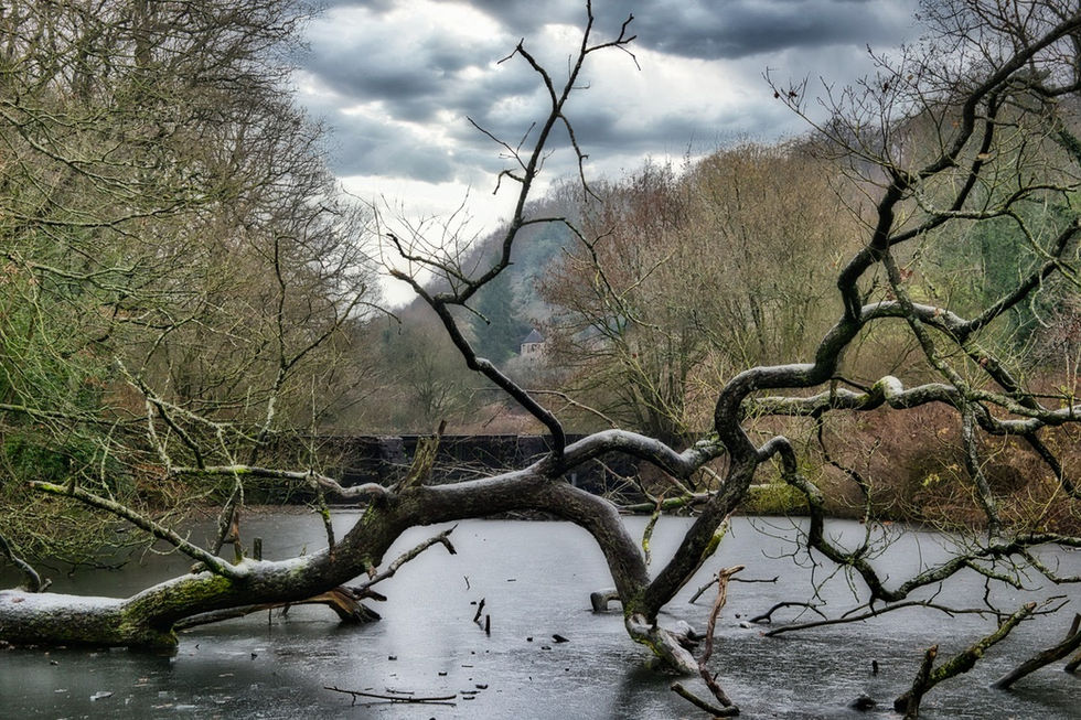 A dramatic, wide landscape photograph captures a large, fallen tree stretching across a frozen, icy pond. The thick, mossy trunk originates from the bottom-left corner and drops into the water, branching out into an intricate, twisted network of bare, dark grey limbs that dominate the foreground. In the midground, a low stone dam wall cuts horizontally across the pond, backed by steep hillsides covered in dense, leafless winter woods. A dramatic sky filled with heavy, textured grey and white storm clouds hangs overhead, casting a cool, moody light over the entire scene.