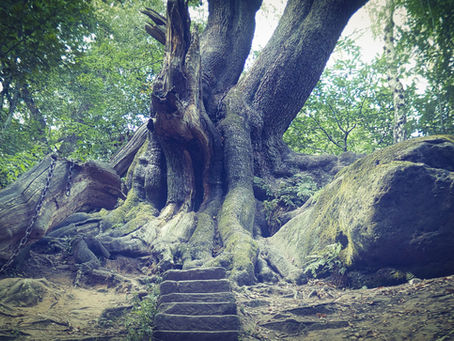 The Legend of Chained Oak and surrounding Dimmingsdale – story upon story, mystery upon mystery