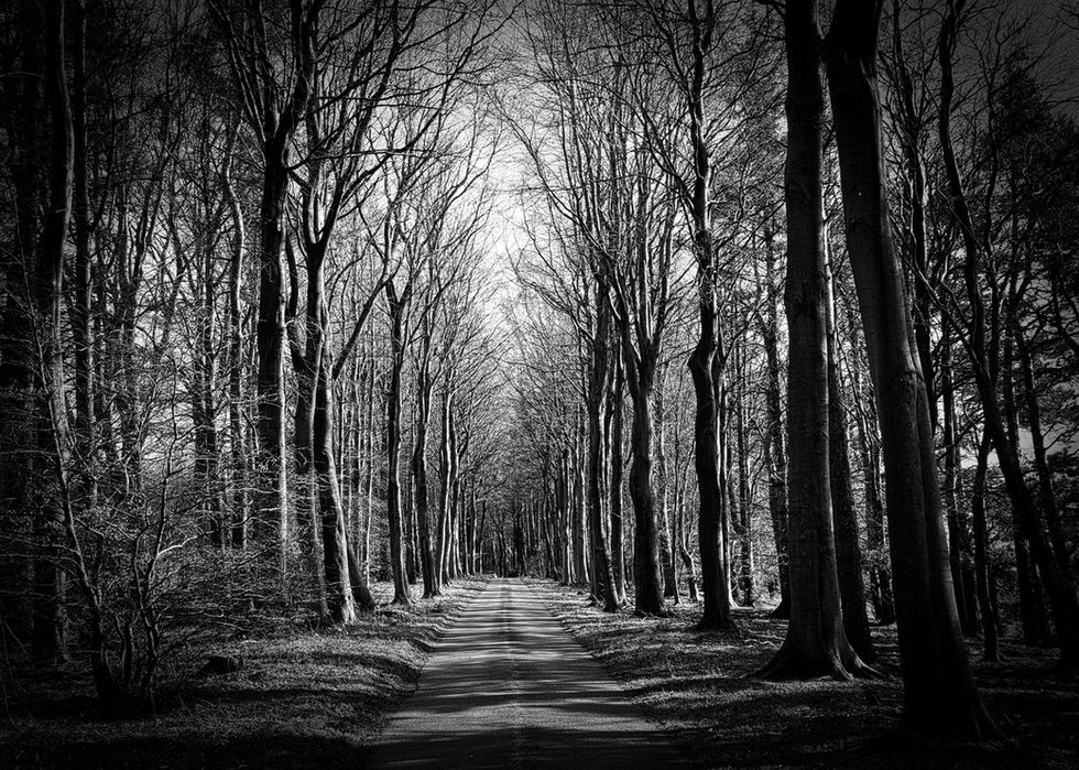 A high-contrast, black and white photograph captures a narrow road cutting through a dense avenue of tall, bare winter trees. The road starts in the bottom foreground and draws the eye straight into the center background, lined on both sides by smooth, straight tree trunks. Overhead, an intricate canopy of tangled, leafless branches filters the bright sky, creating alternating stripes of light and dark shadows across the ground. A subtle vignette darkens the outer edges of the frame, emphasizing the deep perspective of the path.