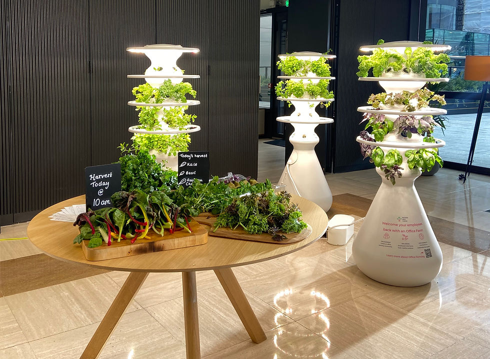 Office Farming