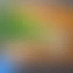 how to grow spring onions from their root bases