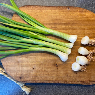 how to grow spring onions from their root bases