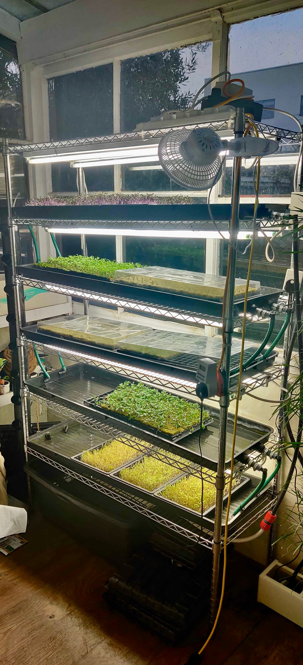 hydroponic system