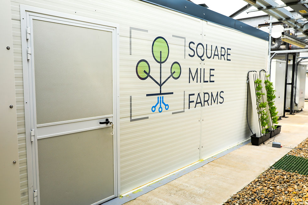 Square Mile Farms Rooftop Farm Tour