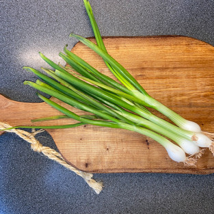 how to grow spring onions from their root bases