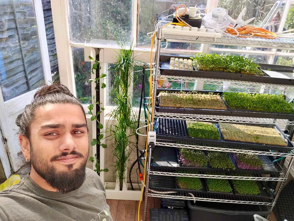 hydroponic, vertical farming system at home