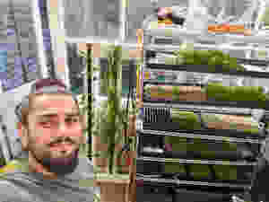 hydroponic, vertical farming system at home