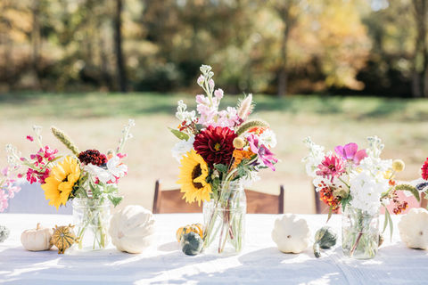 MeredithTeasley_WestGlowFarm-1020.jpg