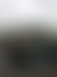 斯巴達5k障礙賽初體驗_完賽!!