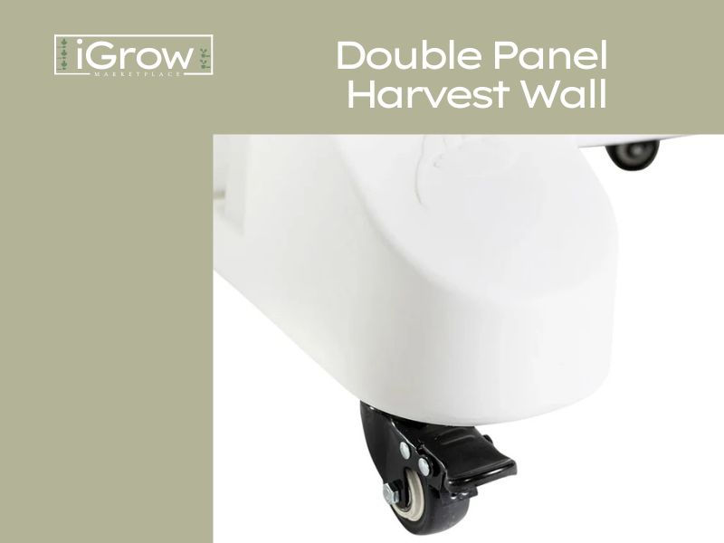 Thumbnail: Double Panel Harvest Wall for Home with Lights