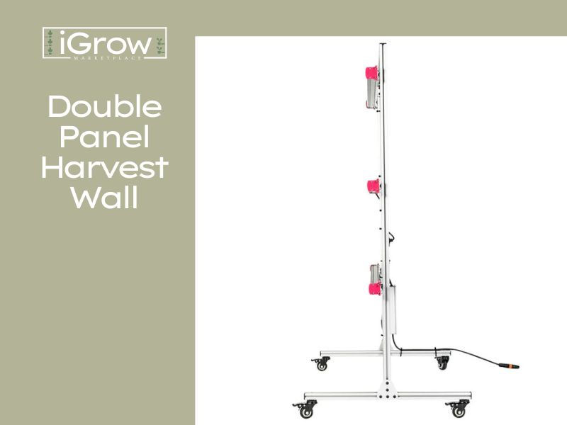 Thumbnail: Double Panel Harvest Wall for Home with Lights