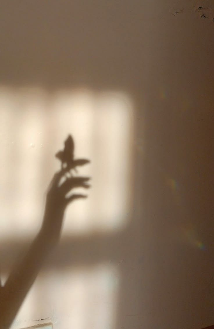 Shadow of a hand holding a small flower against a sunlit wall