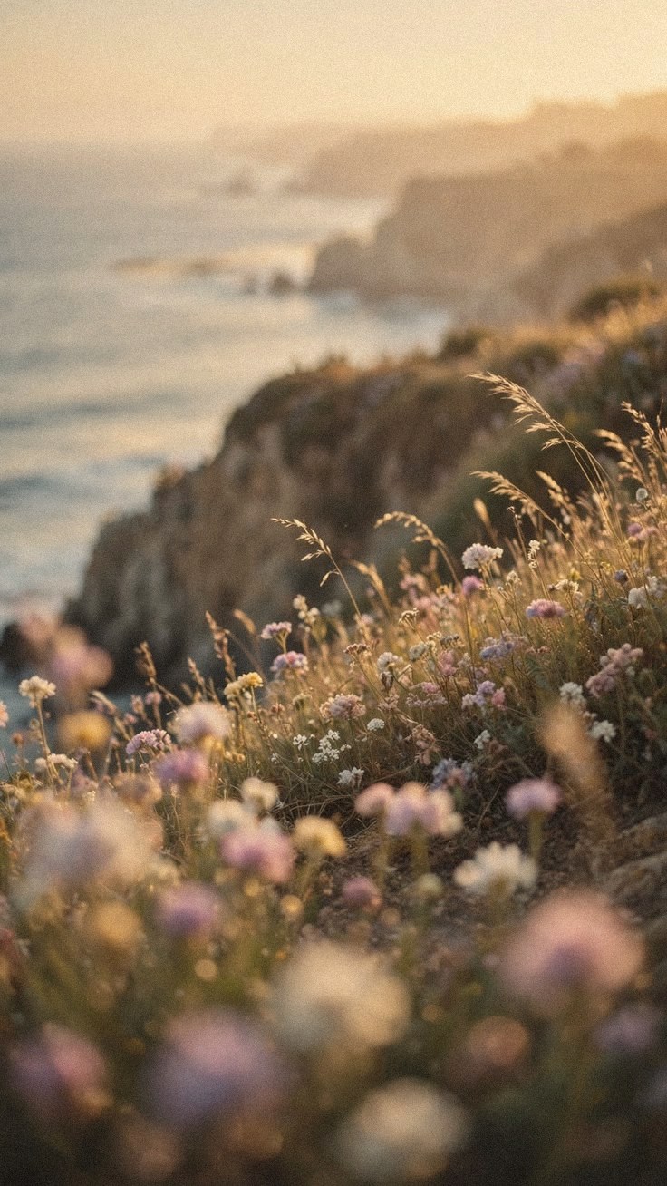 Wildflowers on a coastal cliff above the ocean at golden hour