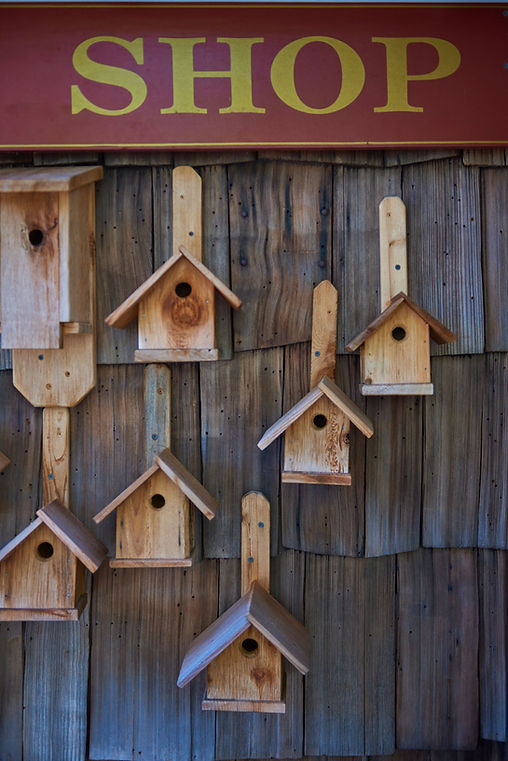 birdhouses.jpeg