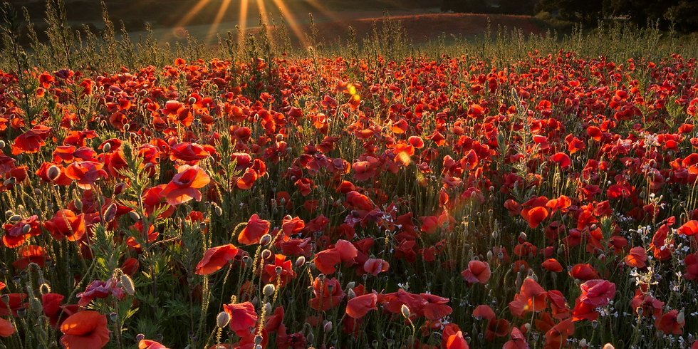 Summer Solstice