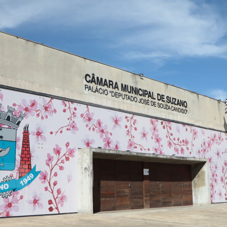 Câmara de Suzano terá audiência de prestação de contas da Secretaria de Saúde amanhã (29)