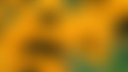 5 Things to Help You Become The-Best-Version-of-Yourself