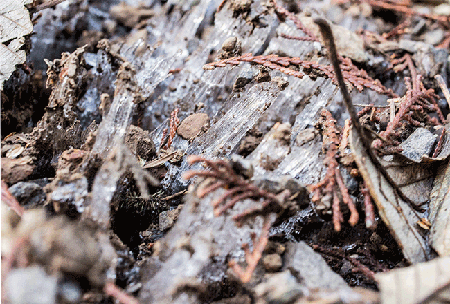How Aperture Affects a Photograph