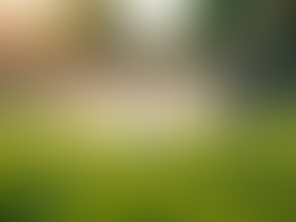 The Importance of Custom Irrigation Design for Your Home