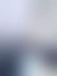 DAUPHINS, BALEINES ET PITOUNES