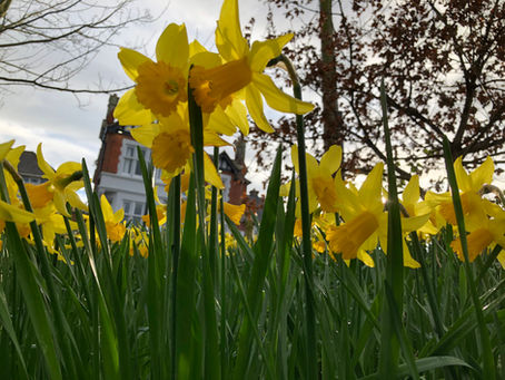 GREAT LATE DEALS ON EASTER HOLIDAYS ON HOBURNE BASHLEY PARK IN THE NEW FOREST