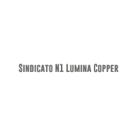 Sindicato N1 Lumina Copper_Mesa de trabajo 1