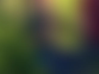 Single Rope Technique