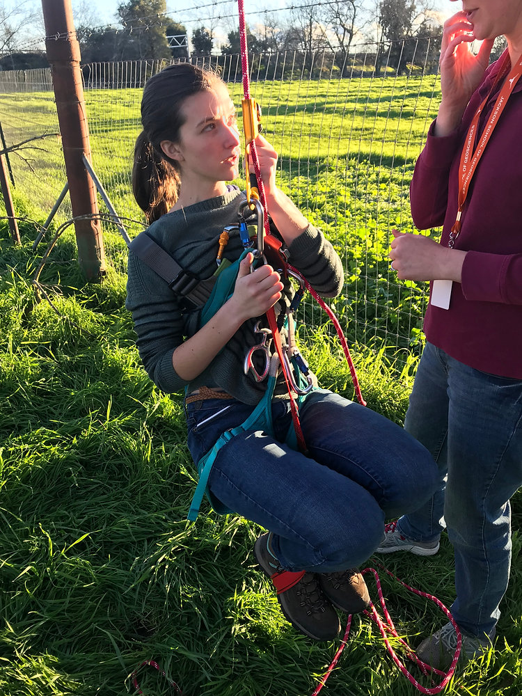 Single Roping Single Rope Technique