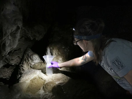 First Trip to California Caverns