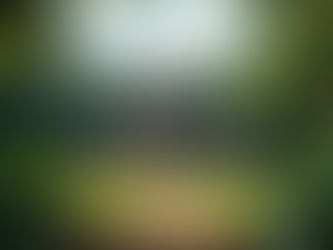 Understanding Belizean Culture and Heritage