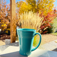 A turquoise blue coffee mug in the foreground with orange, red, and yellow-leafed fall shrubs in the background.