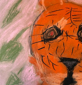 A partial view of a child's chalk crayon drawing on paper. Two-thirds of the face of an orange-and-black tiger fills the right side of the photograph. The left side is colored pink with green designs.