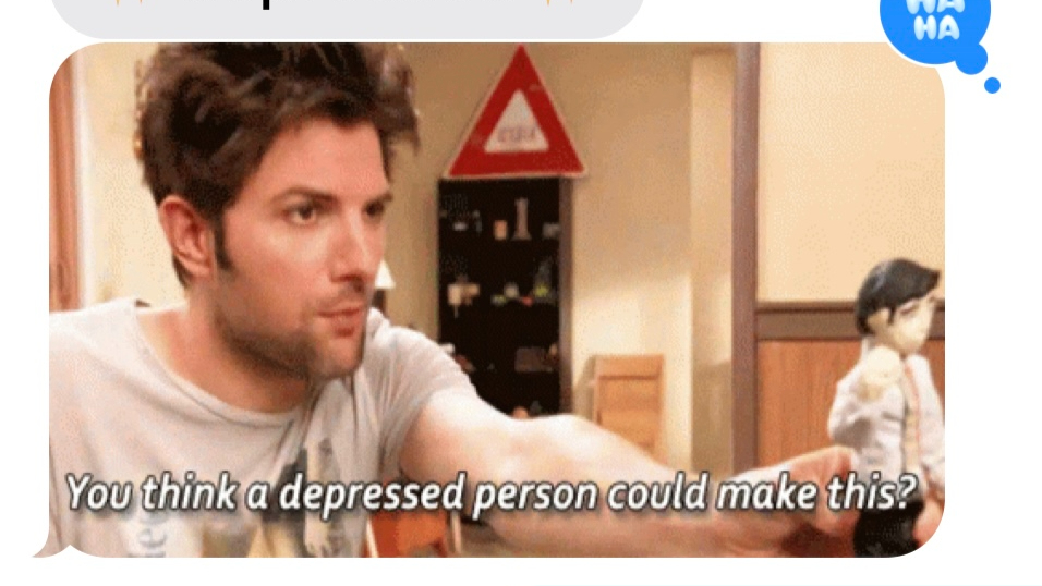 GIF of the character Ben Wyatt from the show Parks and Recreation.  He is holding a rough-made doll and the caption says "You think a depressed person could make this?"