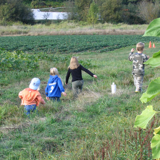 The backs of four children walking toward a pumpkin patch