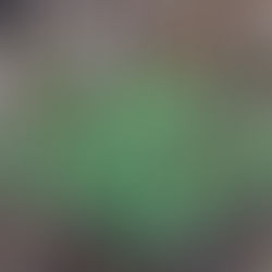 SPRINGING ANYWAY (WITH THE HELP OF SOME GOOD ADVICE)