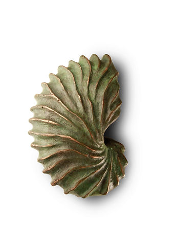 Shell_ Simon Max Bannister_1 of 8 white lr.jpg