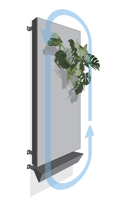 plants-water.png