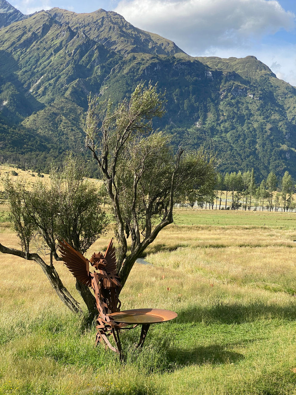 Iris_Waterfall_Simon Max Bannister.jpg