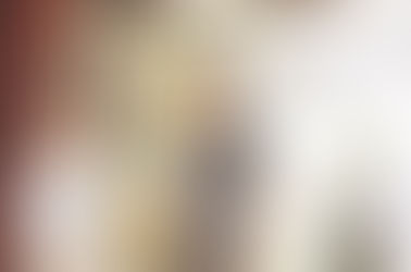 500陸配歡聚 嗑粽提前慶端午