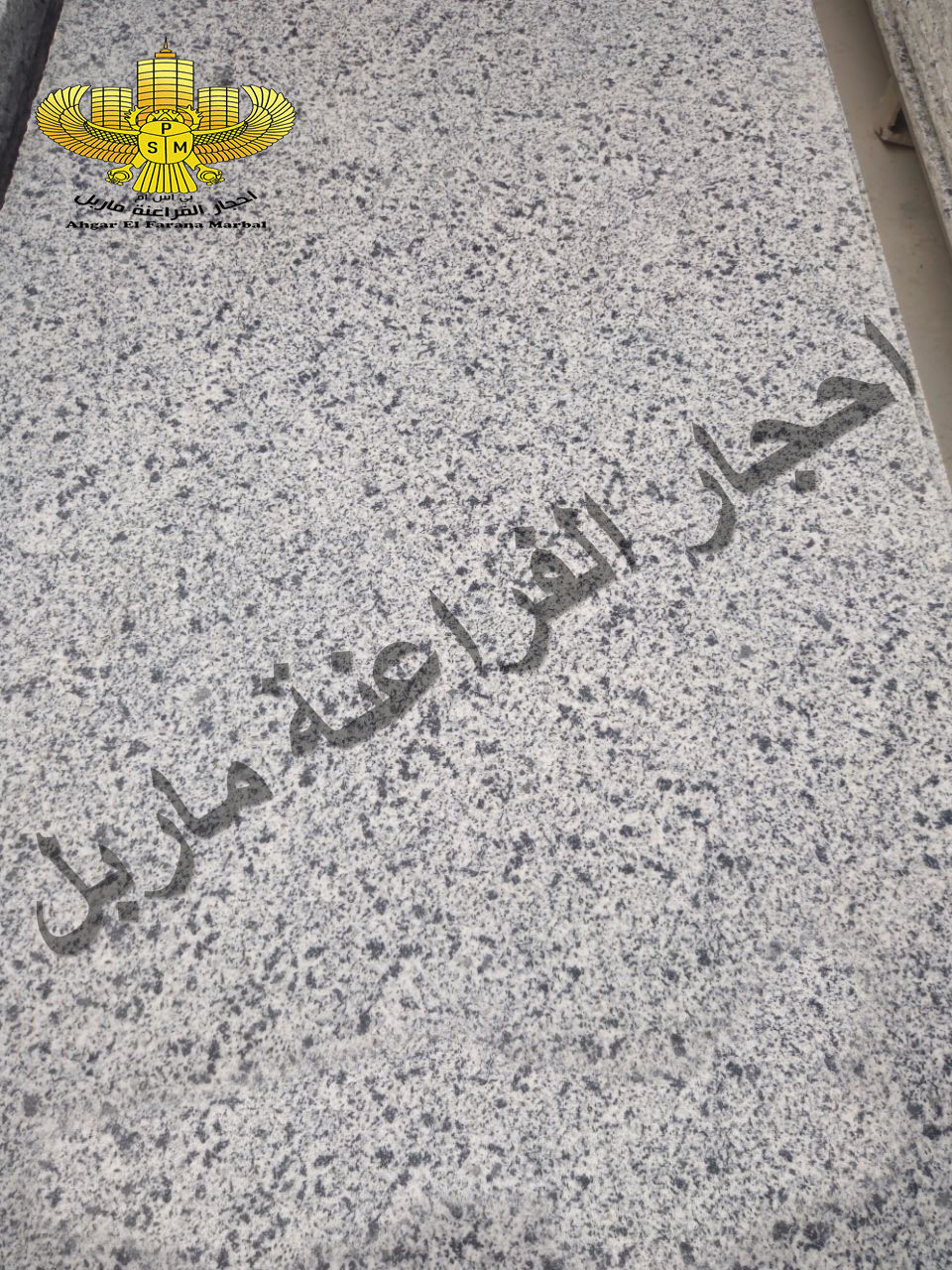 New Halayeb