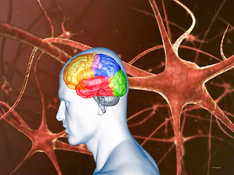 NeuronenCoach Bilder.003.jpeg