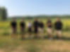 IMG951515.jpg