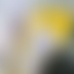 Une carte Michelin papier de la France