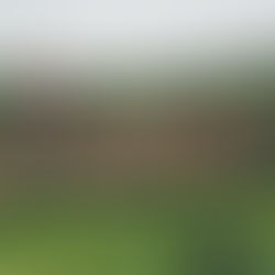 Village en Alsace entouré de vignes