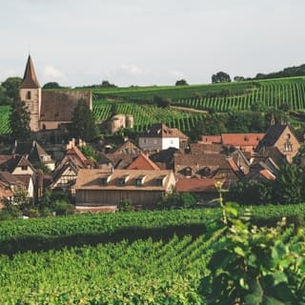 Village en Alsace entouré de vignes