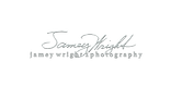 Silver Logo Signature.png