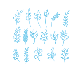 botanic 1.png