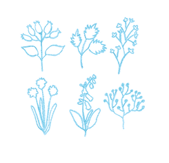 botanic 2.png
