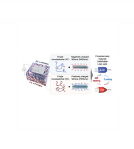 연지누나 ACS Nano_홈페이지.png