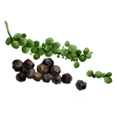 Black-pepper-300x300.png